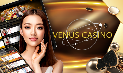 pg77 4455 bet cassino H5